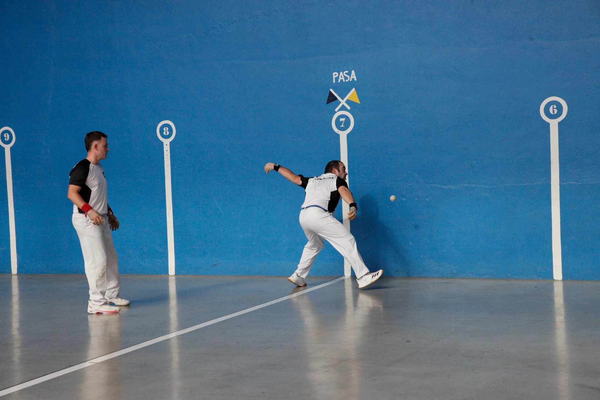 Pelota